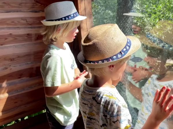 Sky and Finn - Learning About Animals