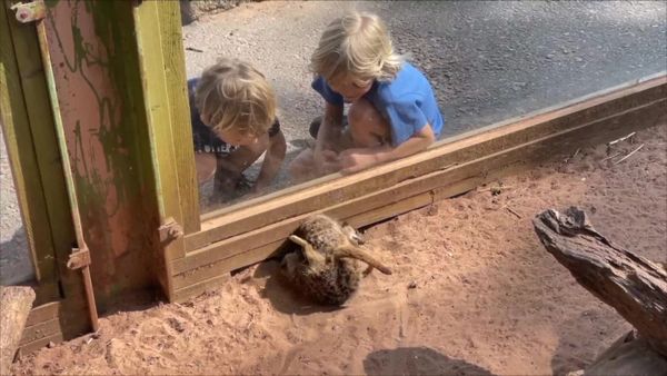 Sky and Finn - More Animal Fun