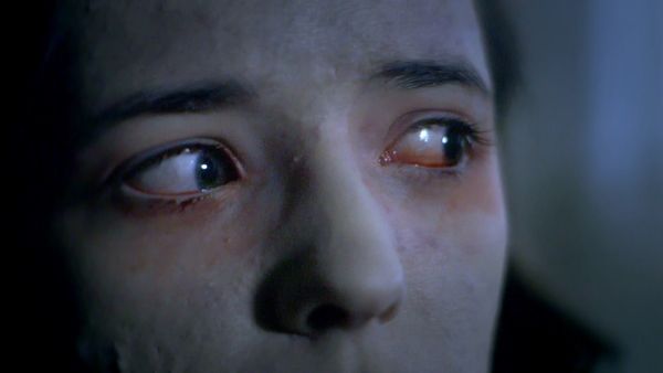 Monsters and Mysteries - Point Pleasant the Monster Prophecies