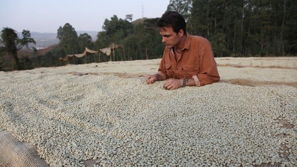 Chasing Coffee - Ethiopia
