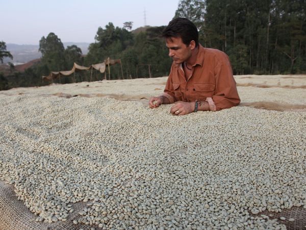 Chasing Coffee - Ethiopia