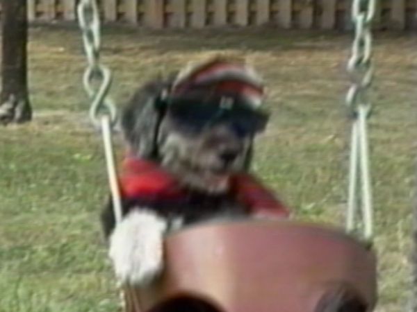 Life's Funniest Moments - Go Out for a Spin