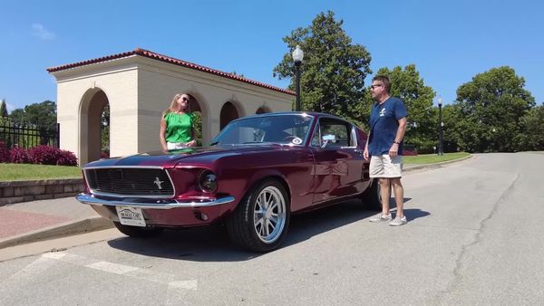 Brand New Muscle Car - Into the Wild