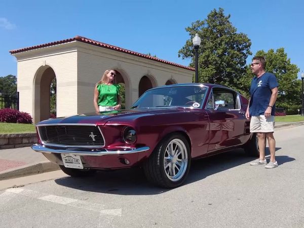 Brand New Muscle Car - Into the Wild