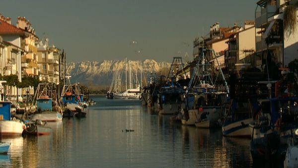 Alla scoperta della natura - Nel mar de Palù