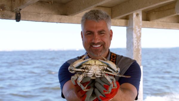 Devorando a América - Maryland