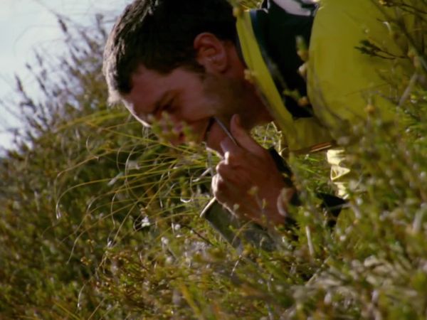 I Shouldn't Be Alive - Sangre en la montaña