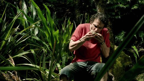 I Shouldn't Be Alive - Perdido en la selva