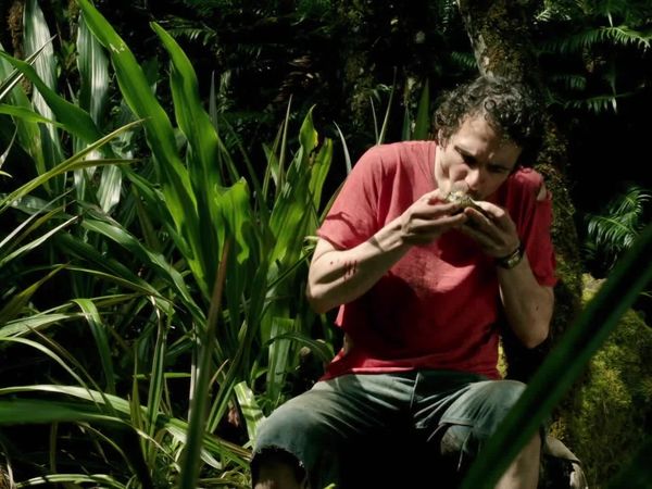 I Shouldn't Be Alive - Perdido en la selva