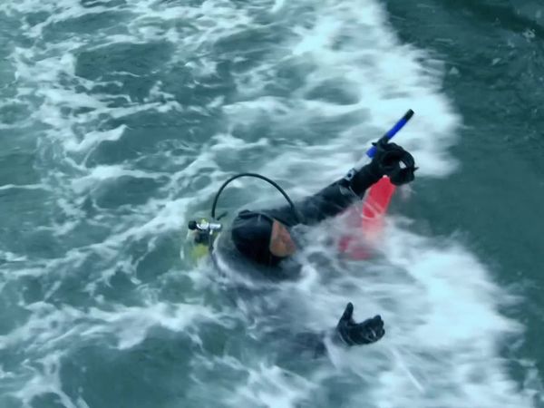 I Shouldn't Be Alive - Buceo del Terror
