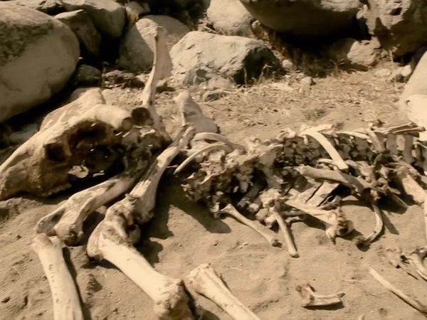 I Shouldn't Be Alive - Hasta que la muerte nos separe