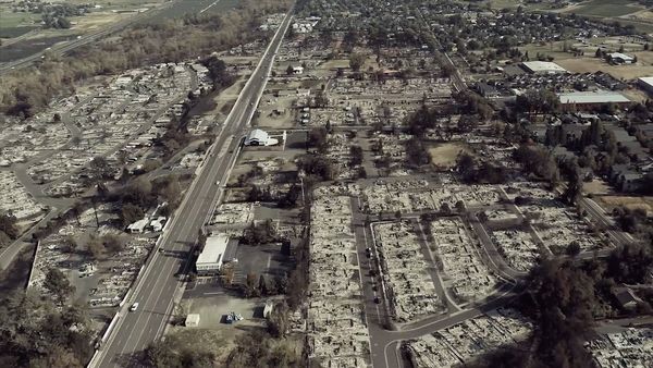 Doug al rescate - Los gatos del incendio en Oregon