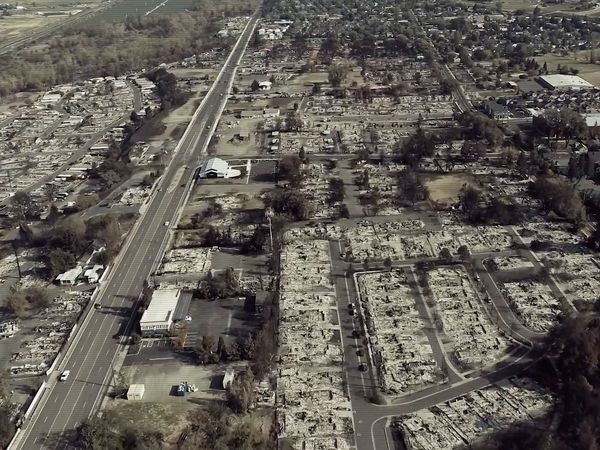 Doug al rescate - Los gatos del incendio en Oregon