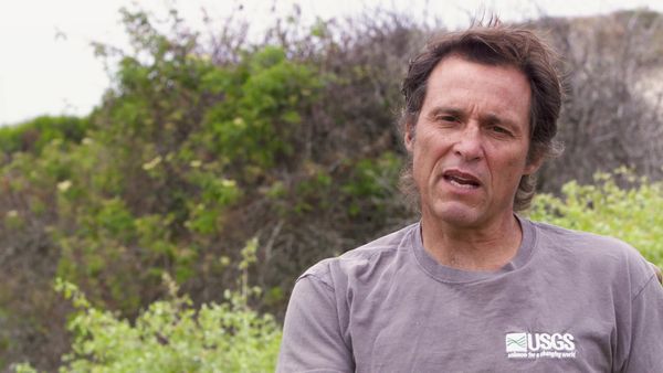 Brilla ahora - Planeta parásito