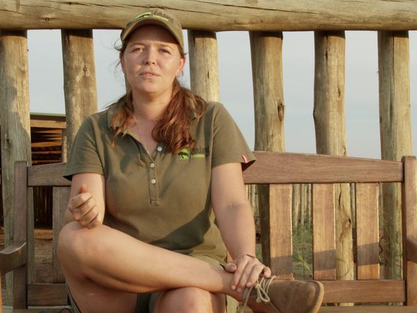 Brilla ahora - Rescate de animales africanos