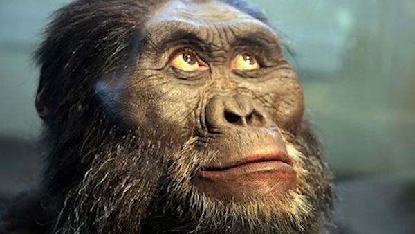 Early Humans - Homo Habilis: The First 'Humans'