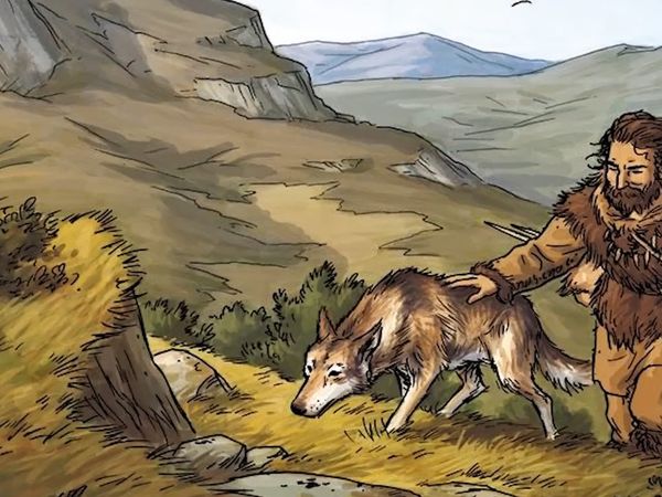 Early Humans - The Day Humans First Domesticated Animals: The Dawn of Domestication