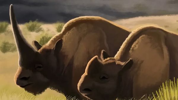 Early Humans - What Was Earth Like in The Early Years of Human Life?