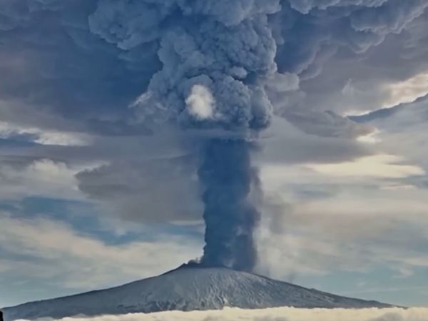 Early Humans - Homo Sapiens: The New Rulers of Earth