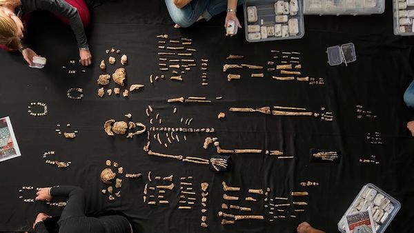 Early Humans - Homo Naledi: The 'Star Man'
