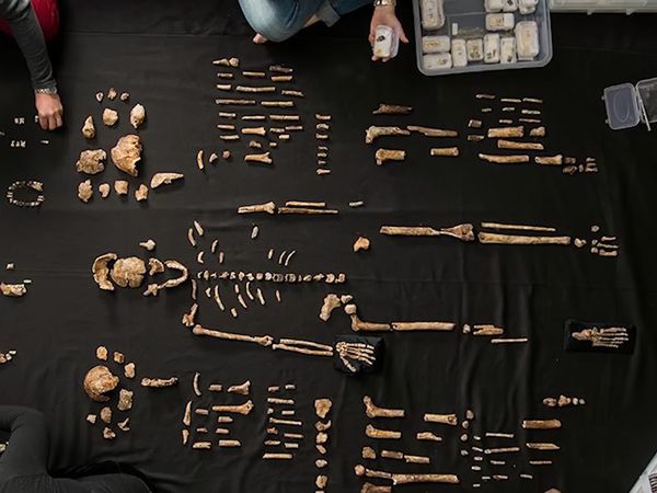 Early Humans - Homo Naledi: The 'Star Man'