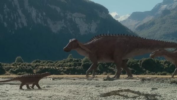 Dinosaur Discovery - Hadrosaurs: The Duck-Billed Dino's