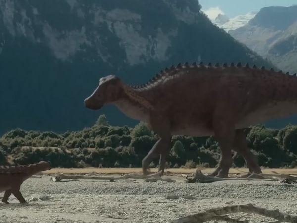 Dinosaur Discovery - Hadrosaurs: The Duck-Billed Dino's
