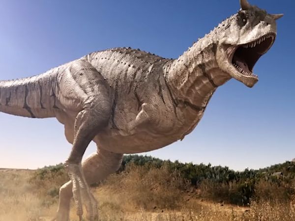 Dinosaur Discovery - Carnotaurus: The Terrifying Horned Carnivorous Dinosaur