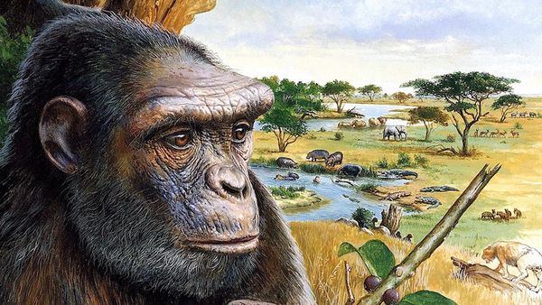 Early Humans - When Humans Were Prey: The Predators & Wild Threats to Early Humans