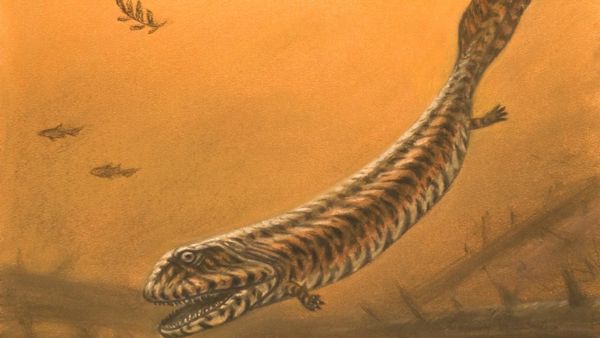 Dinosaur Discovery - The History of Great British Prehistoric Creatures