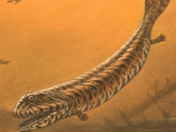 Dinosaur Discovery - The History of Great British Prehistoric Creatures