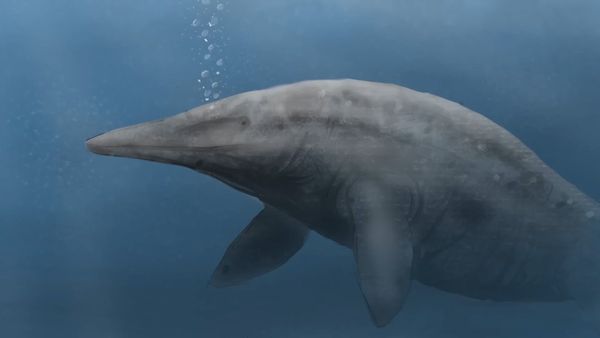 Dinosaur Discovery - A Complete Timeline of Prehistoric Creatures & Dinosaurs of North America