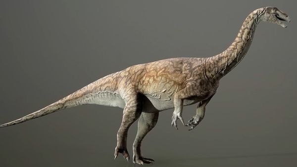 Dinosaur Discovery - Archosaurs of The Triassic Period