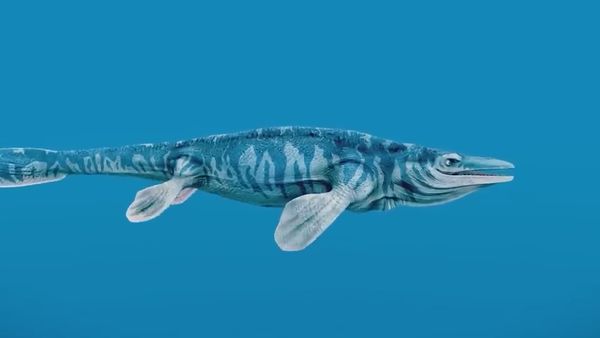 Dinosaur Discovery - This Giant Prehistoric Sea Lizard Dominated The Oceans