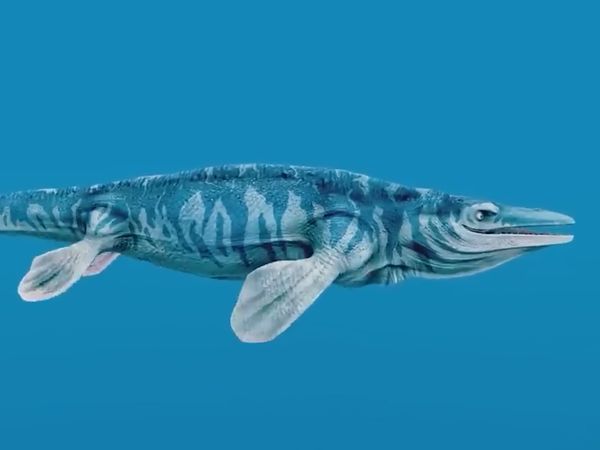 Dinosaur Discovery - This Giant Prehistoric Sea Lizard Dominated The Oceans
