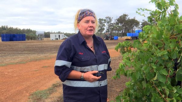 Outback Truckers - Metal Muncher Mishap