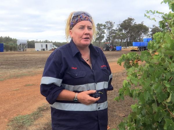Outback Truckers - Metal Muncher Mishap