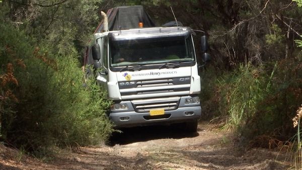 Outback Truckers - Hazardous Loads and Angry Bees
