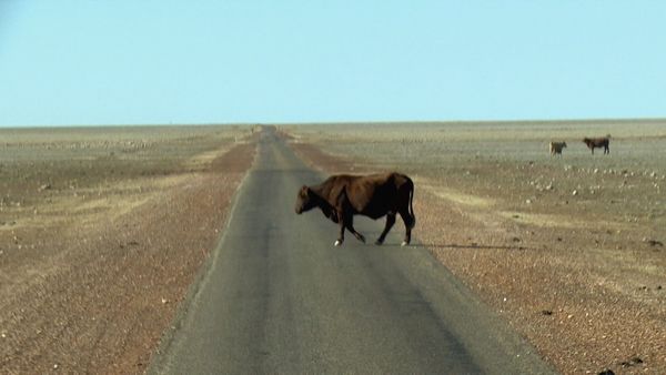 Outback Truckers - Gritty Beach Run