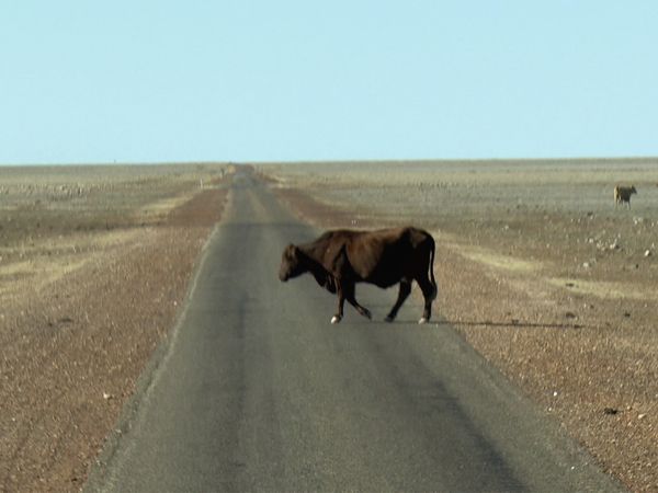 Outback Truckers - Gritty Beach Run