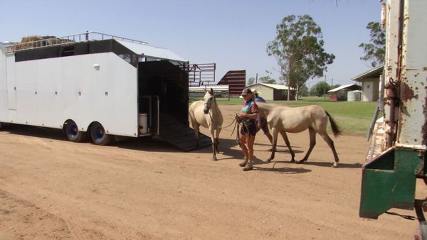 Outback Truckers - Legacy and New Beginnings