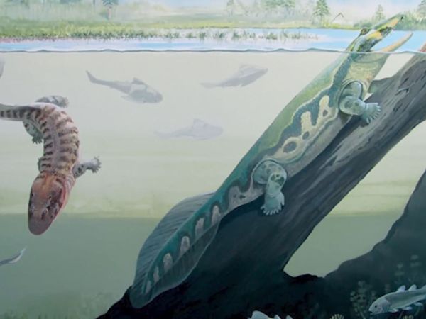 Dinosaur Discovery - A Complete Timeline of Prehistoric Creatures & Dinosaurs of Australia