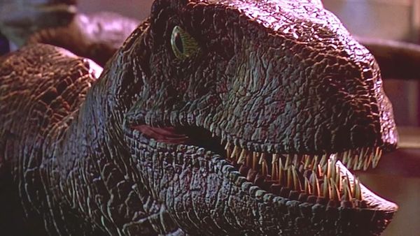 Dinosaur Discovery - Spinosaurus: The Scariest Carnivorous Dinosaur to Have Ever Lived