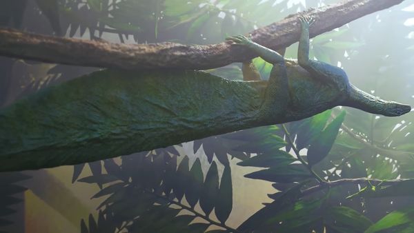 Dinosaur Discovery - Bizarre Reptiles of The Triassic Period