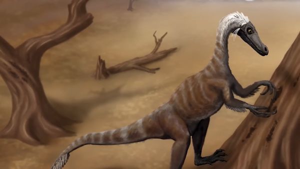 Dinosaur Discovery - Peculiar Dinosaurs of The Cretaceous Period