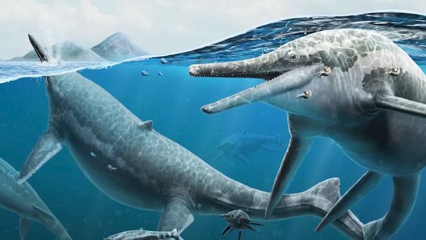 Dinosaur Discovery - Unbelievable Ancient Sea Monsters of The Mesozoic Era