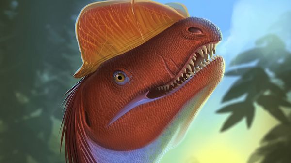 Dinosaur Discovery - Dilophosaurus: The Most Misinterpreted Dinosaur of All Time