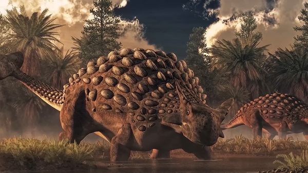Dinosaur Discovery - Hell Creek: The Most Important Dinosaur Fossil Site in the World