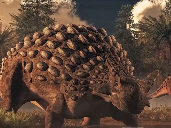 Dinosaur Discovery - Hell Creek: The Most Important Dinosaur Fossil Site in the World