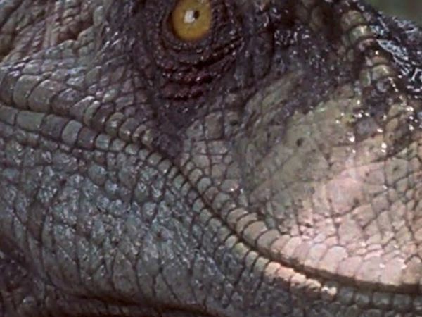 Dinosaur Discovery - You Won't Believe the Mistakes Jurassic World Made About Dinosaurs...
